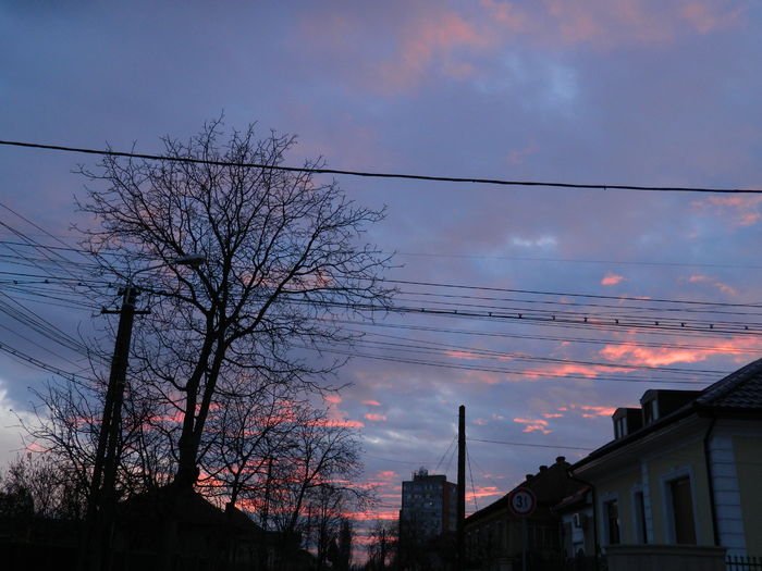 DSCN9926 - 2016 CERUL 2