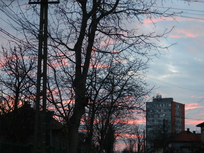 DSCN9928 - 2016 CERUL 2