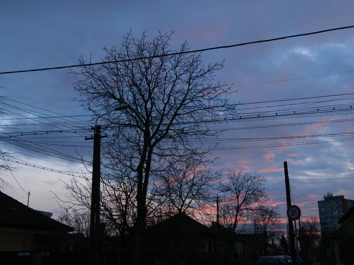 DSCN9929 - 2016 CERUL 2