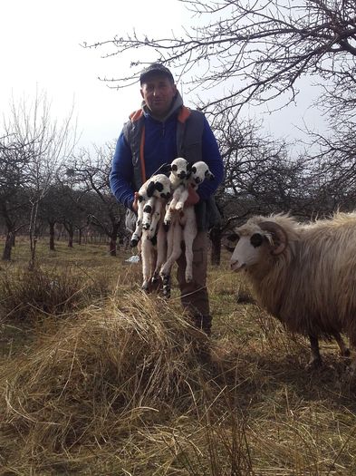 20160228_135730 - tucana alba