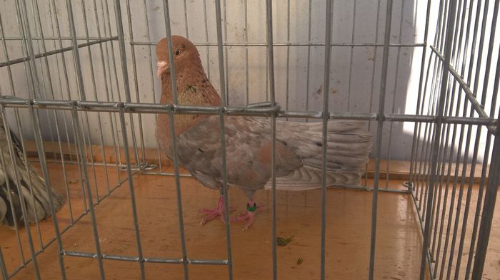 WP_20160302_16_07_47_Pro