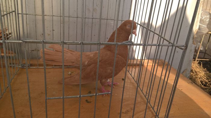 WP_20160302_16_40_30_Pro