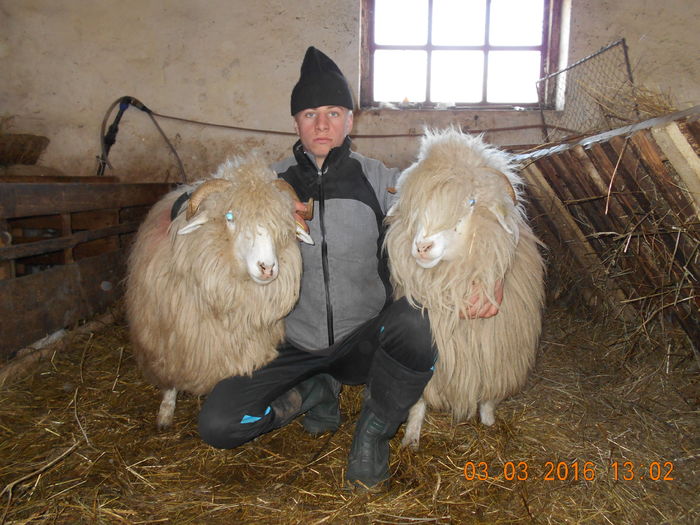 Picture 131 - Balele 2016-2017