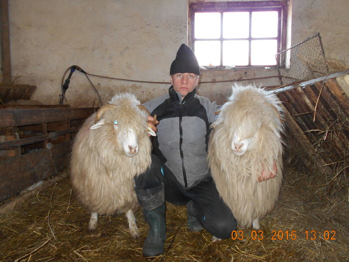 Picture 132 - Balele 2016-2017