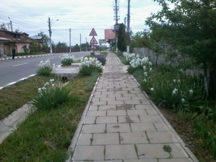 2015-05-04 09.29.35 - Strada principala din Snagov sat Ciofliceni si imprejurimi