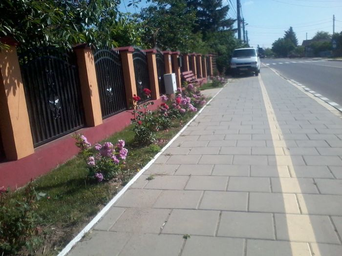 2015-05-27 09.34.05 - Strada principala din Snagov sat Ciofliceni si imprejurimi