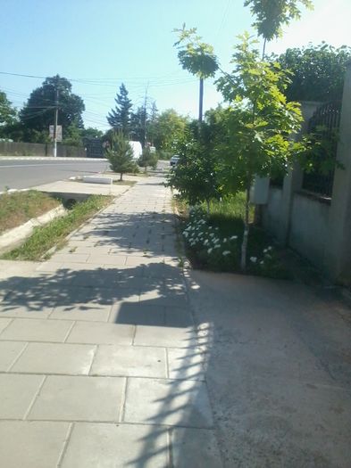 2015-05-27 09.39.24 - Strada principala din Snagov sat Ciofliceni si imprejurimi