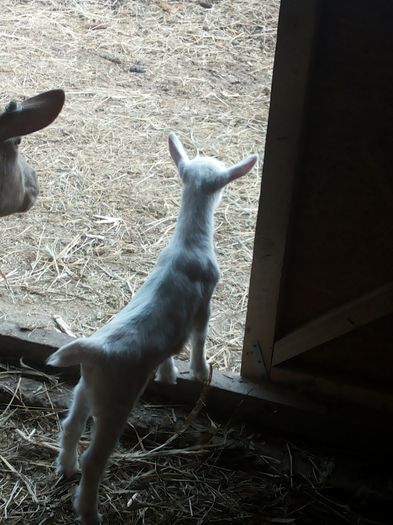 20160303_165927 - tineret