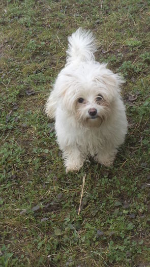 IZUCA IN MARTIE; 4 MARTIE 2016
