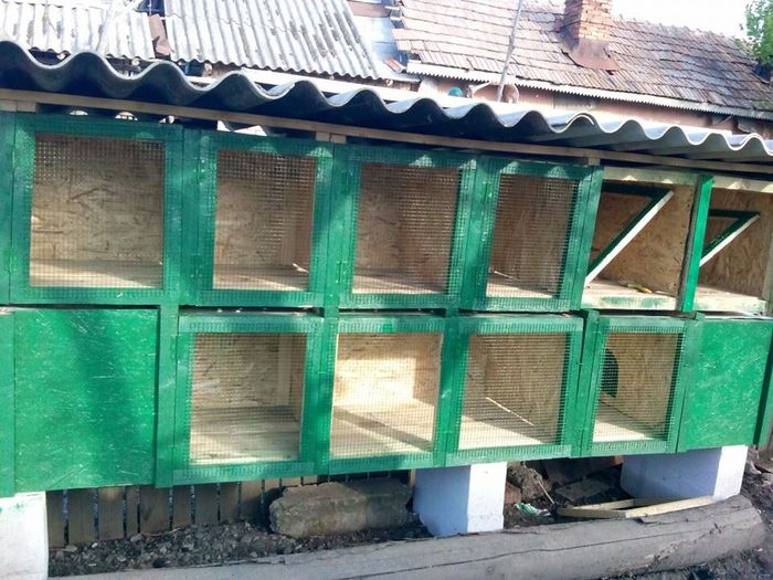 11261509_361094137429676_4892216377167628354_n