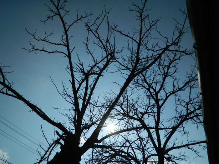 DSCN9989 - 2016 CERUL 2