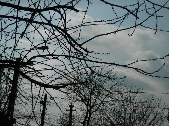 DSCN9992 - 2016 CERUL 2