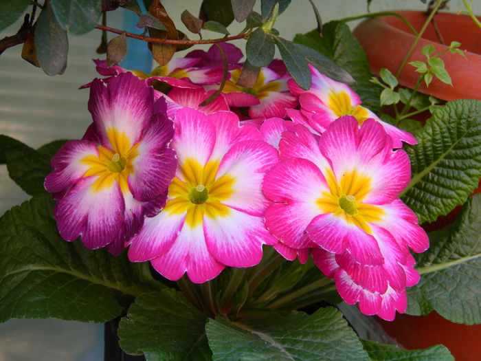 DSCN9963 - 2016 MARTIE