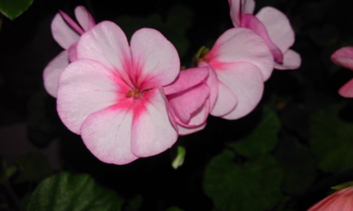 20160304_175831