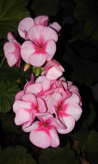 20160304_180011