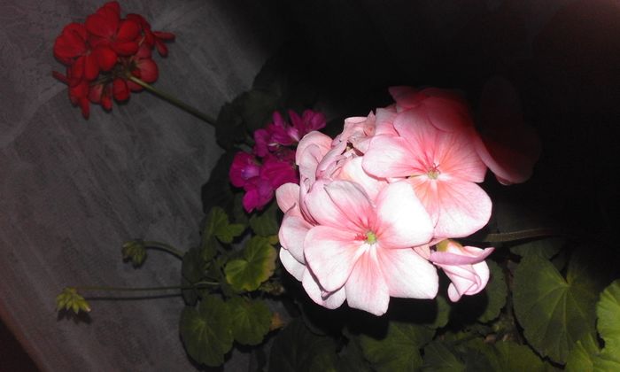20160304_180120