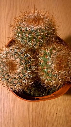 WP_20160229_18_02_27_Pro