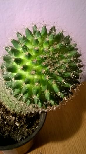 WP_20160229_18_04_06_Pro