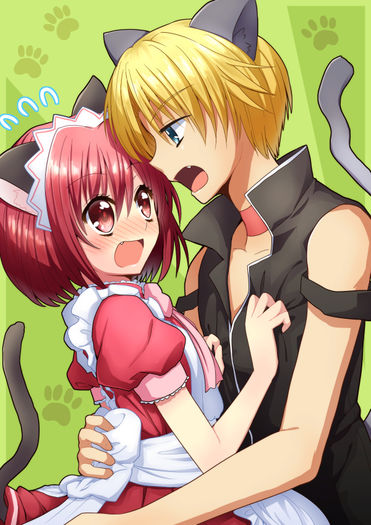 Tokyo.Mew.Mew.full.1756855 - Tokyo Mew Mew