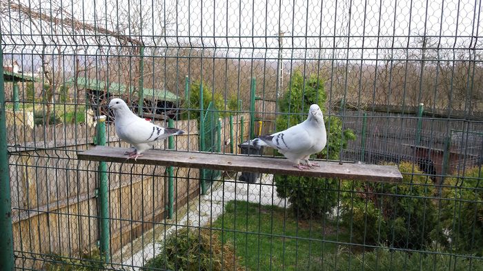 F-2015-2245&F-2011-2846