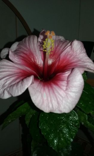 034