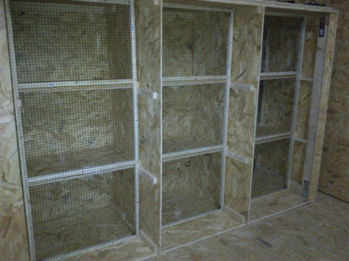 RAMA CUIBAR IMPERECHERE