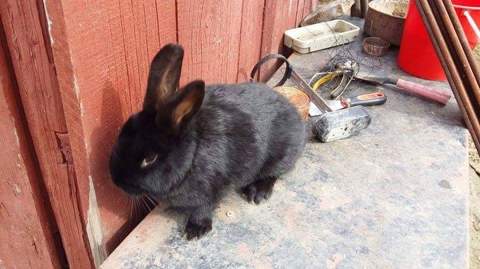 received_1682618915340994