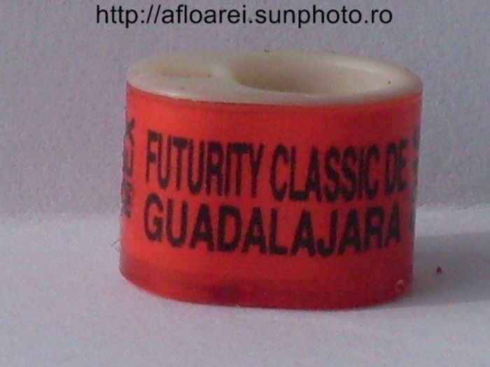 futurity classic de guadalajara 2016 rosJPG - MEXIC