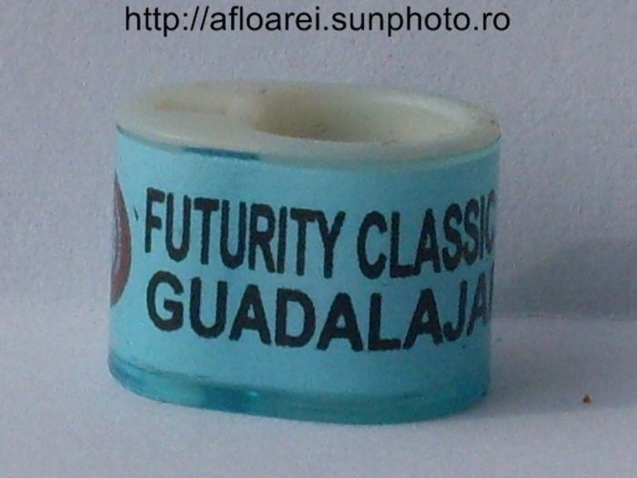 futurity classic de guadalajara albastruJPG