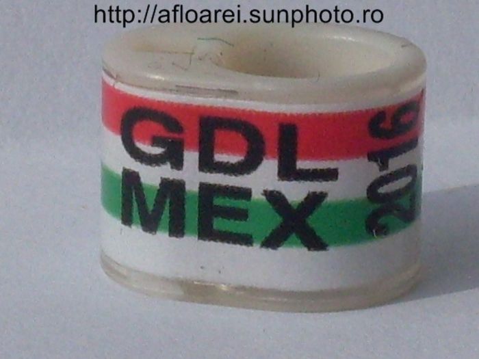 gdl mex 2016 icom - MEXIC