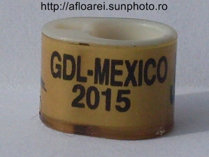 gdl-mexico 2015 icom - MEXIC