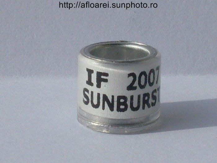 if 2007 sunburst