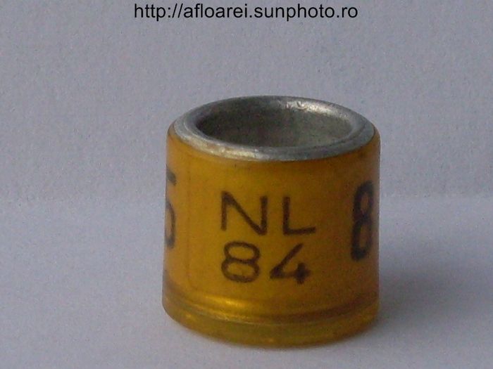 nl 84