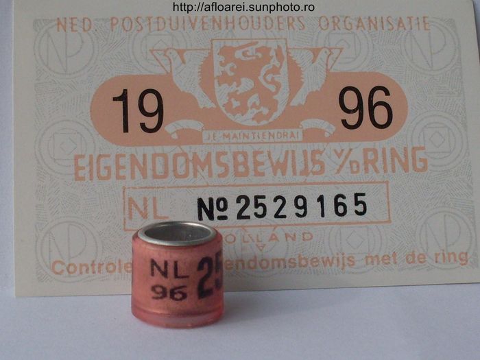 nl 96 - OLANDA-NL