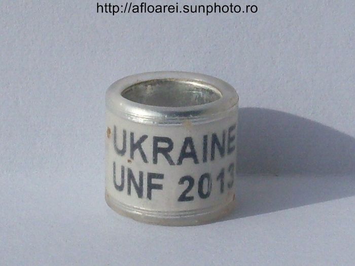 ukraine unf 2013 - UKRAINA-UKR