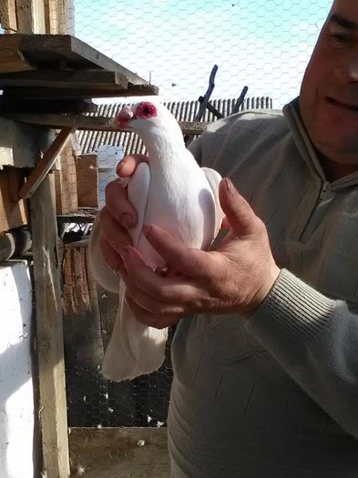 12834495_1695575914055040_1164679123_n