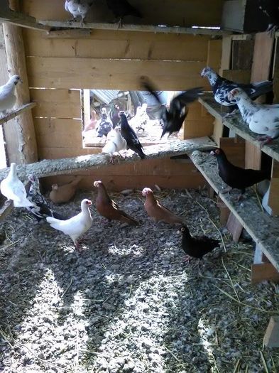 12835003_1695578087388156_1914734661_n