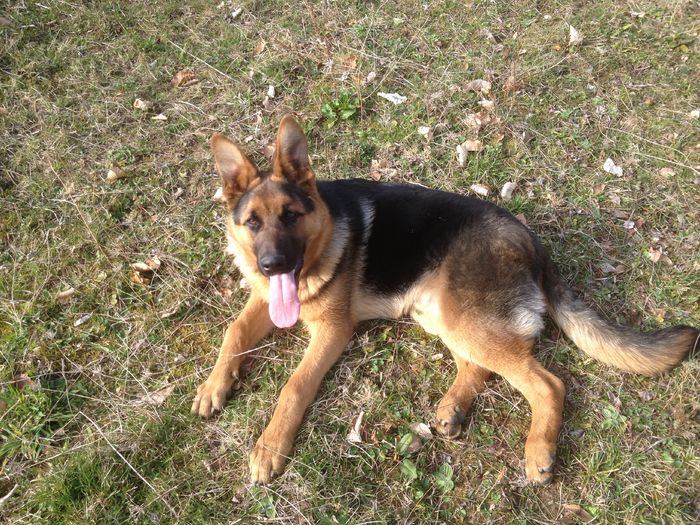 Azi am facut, 6luni.