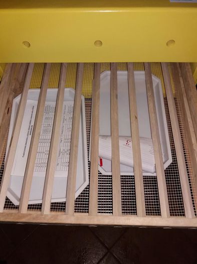 12805690_1741285802771884_2602629360358587157_n