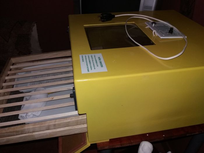 12823504_1741285746105223_1942748226540947665_o