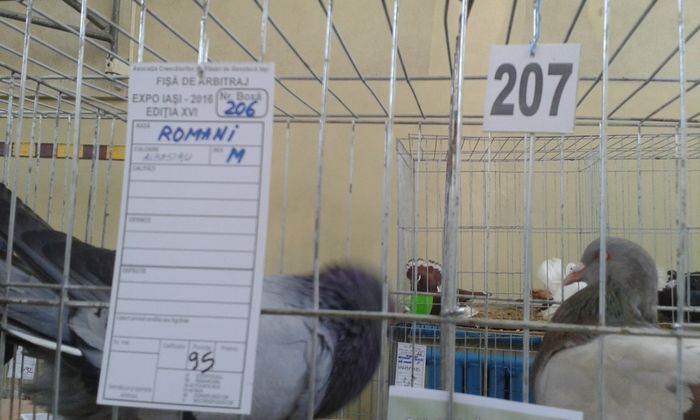 20160306_113258