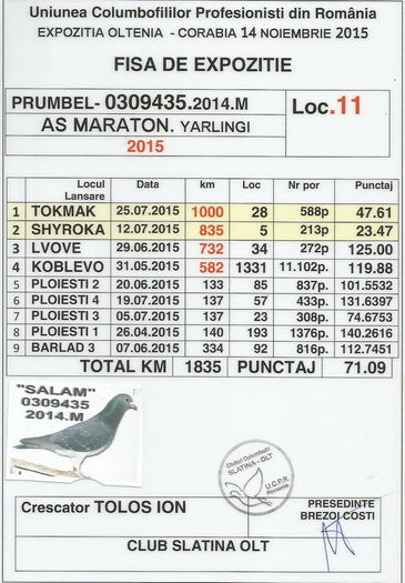 ''SALAM''  0309435.2014 - E 2015 EXPO CORABIA