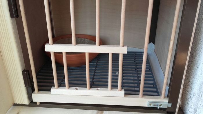 IMG-20160307-WA0029 - PENTRU CRESCATORII CARE SE RESPECTA