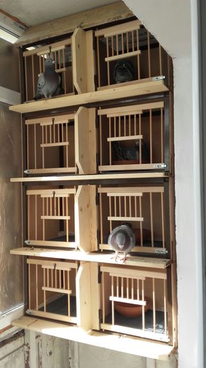 IMG-20160307-WA0027 - PENTRU CRESCATORII CARE SE RESPECTA