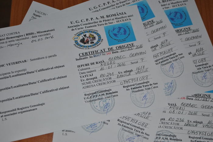 certificatele