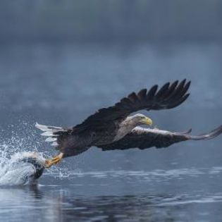 671980_3feececcea0bc4f97575937dbe62d136_mdsq