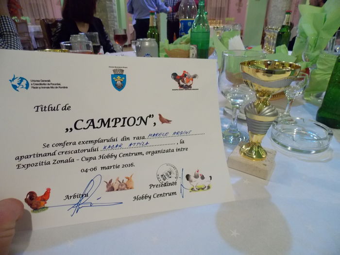 DSCN1535 - EXPO-2016-HOBBY CENTRUM BV