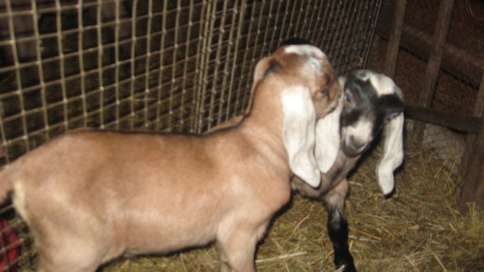 Picture 7824