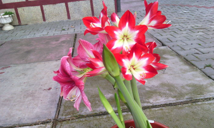 IMG_20160301_164824[2]