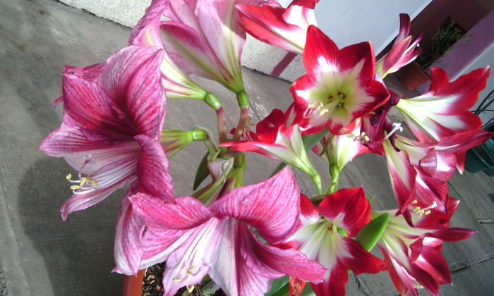 IMG_20160306_143146[1]